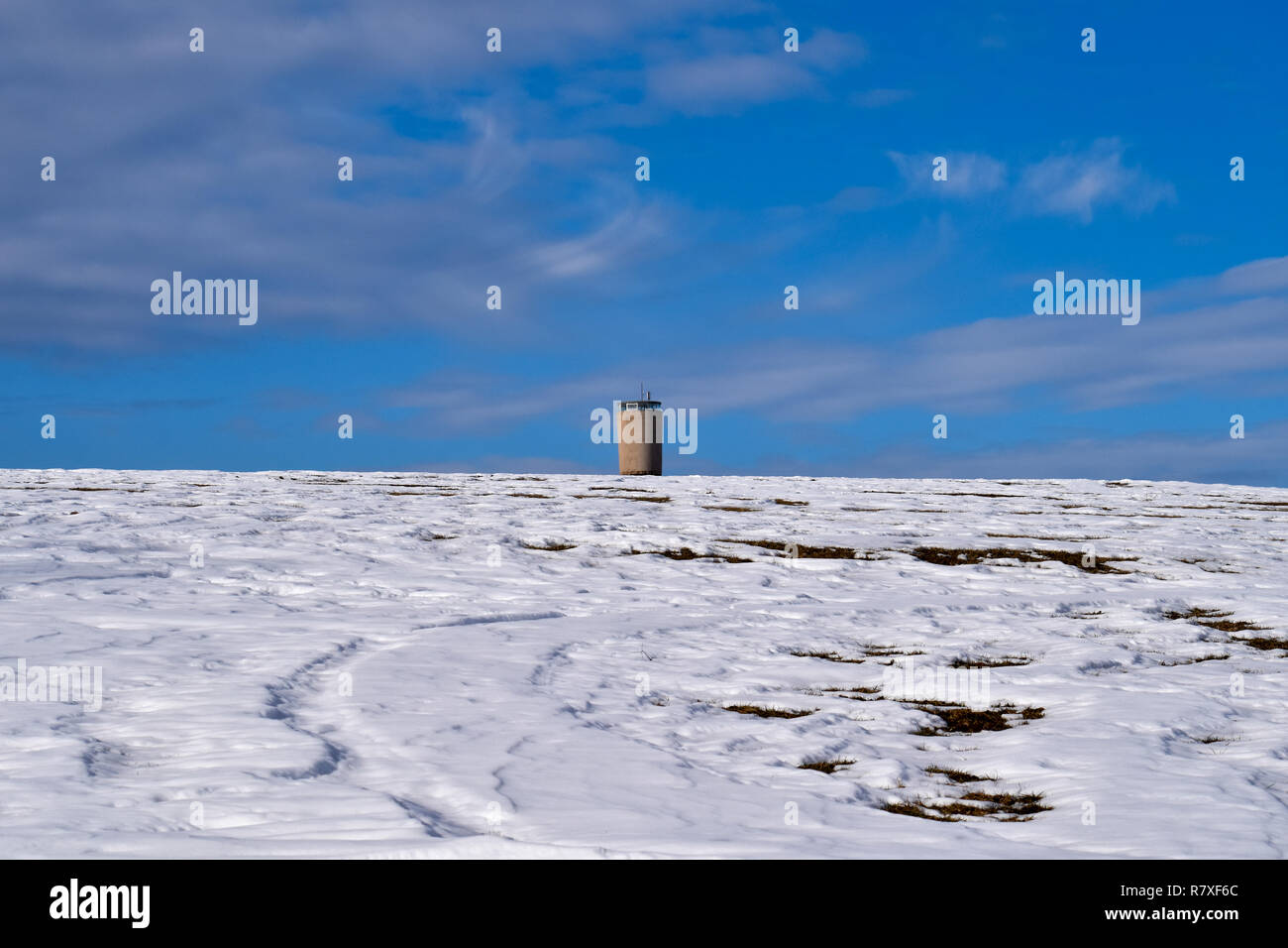 Winter landscape with snowy field Stock Photo