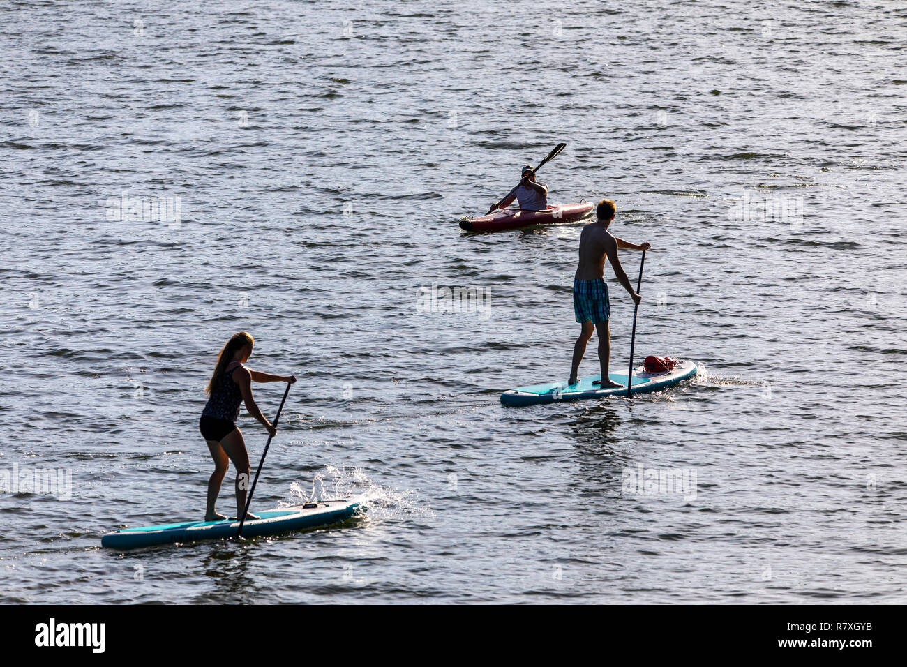 Heidelberg, water sports on the Neckar river, stand up paddlers and kayak, Stock Photo