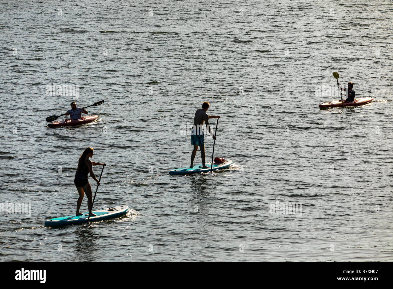 Heidelberg, water sports on the Neckar river, stand up paddlers and kayak, Stock Photo
