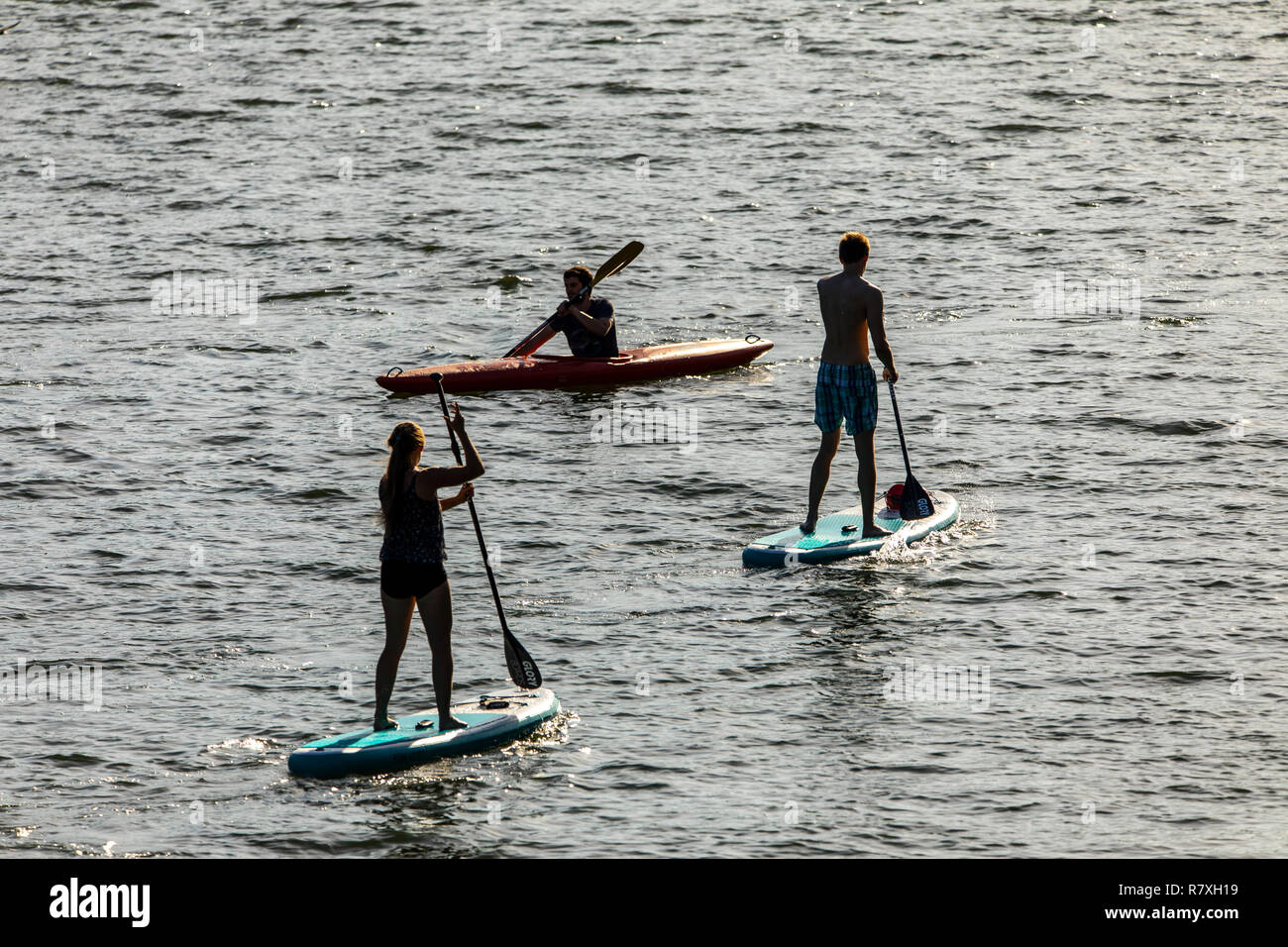 Heidelberg, water sports on the Neckar river, stand up paddlers and kayak, Stock Photo