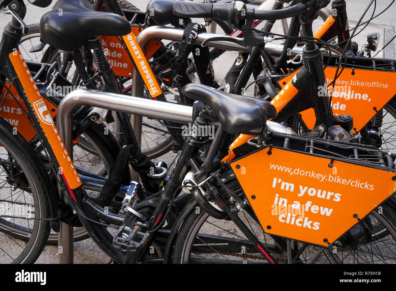 Donkey bike best sale login