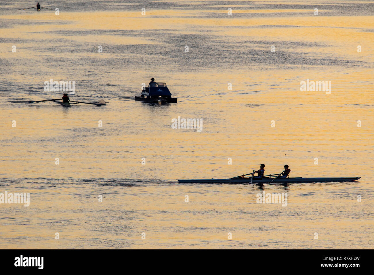 Heidelberg, water sports on the Neckar river, rowers, rowing boats, Germany Stock Photo