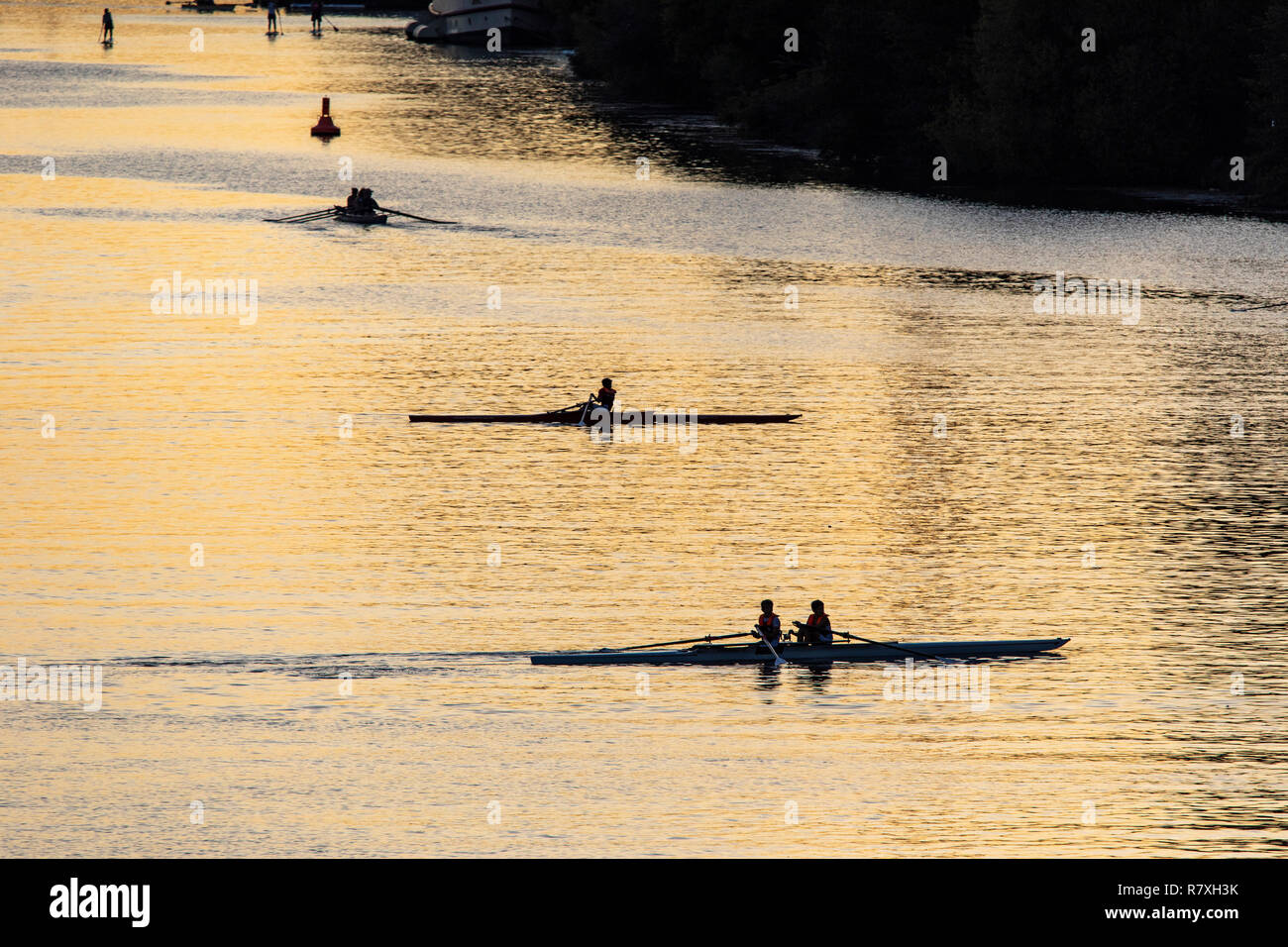 Heidelberg, water sports on the Neckar river, rowers, rowing boats, Germany Stock Photo