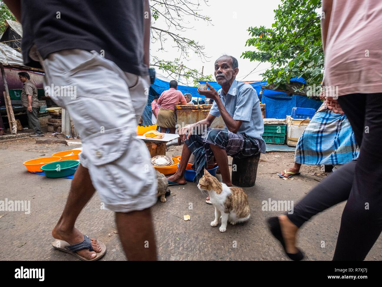 Inde, state of Kerala, Kochi (or Cochin), Fort Kochi (ou Fort Cochin) district, fish market Stock Photo