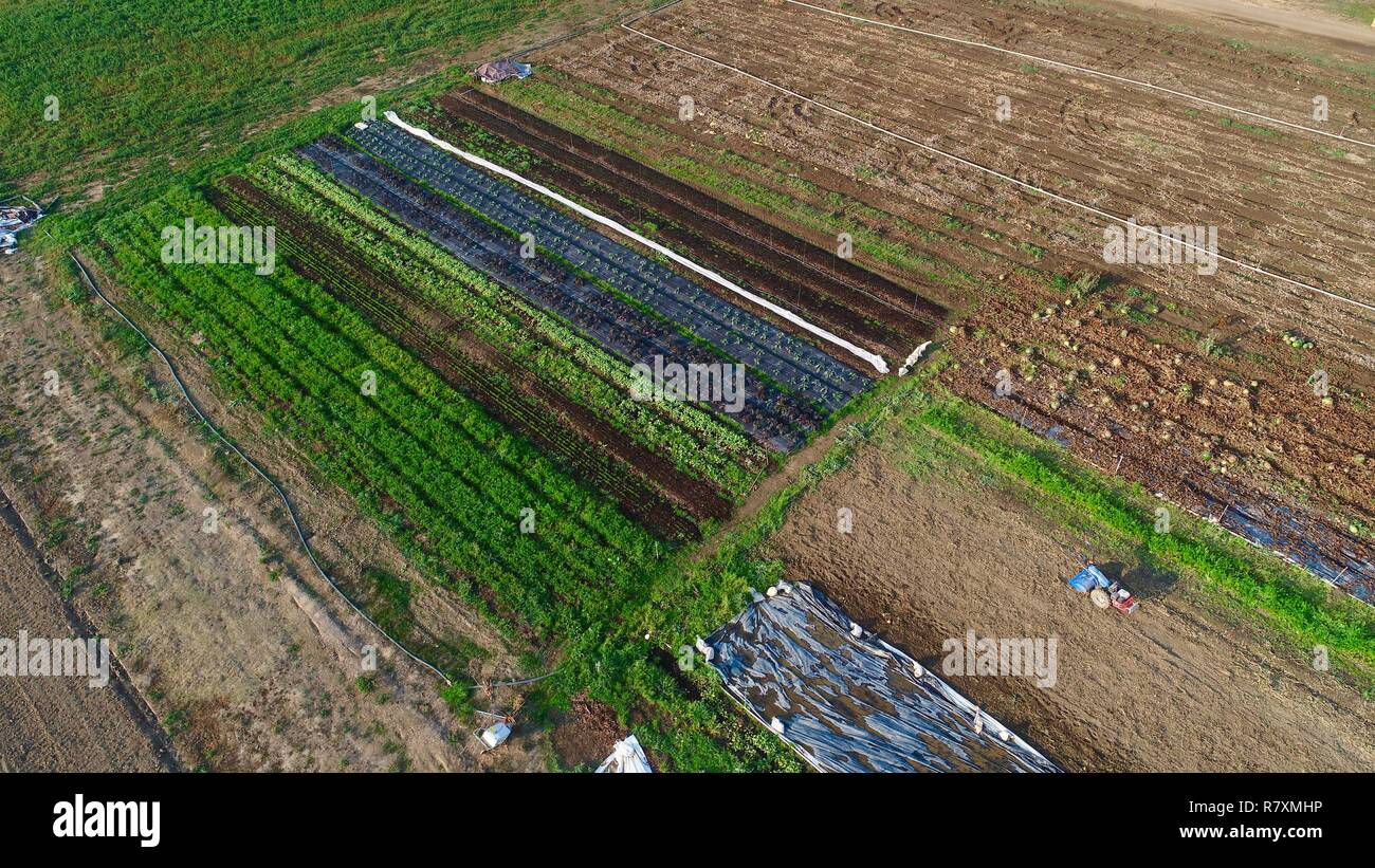 Aerial photo of rototiller in field of vegetables, fruits & flowers crops, in autumn at Front Porch Farm on 110 acres, Healdsburg, California, USA. Stock Photo