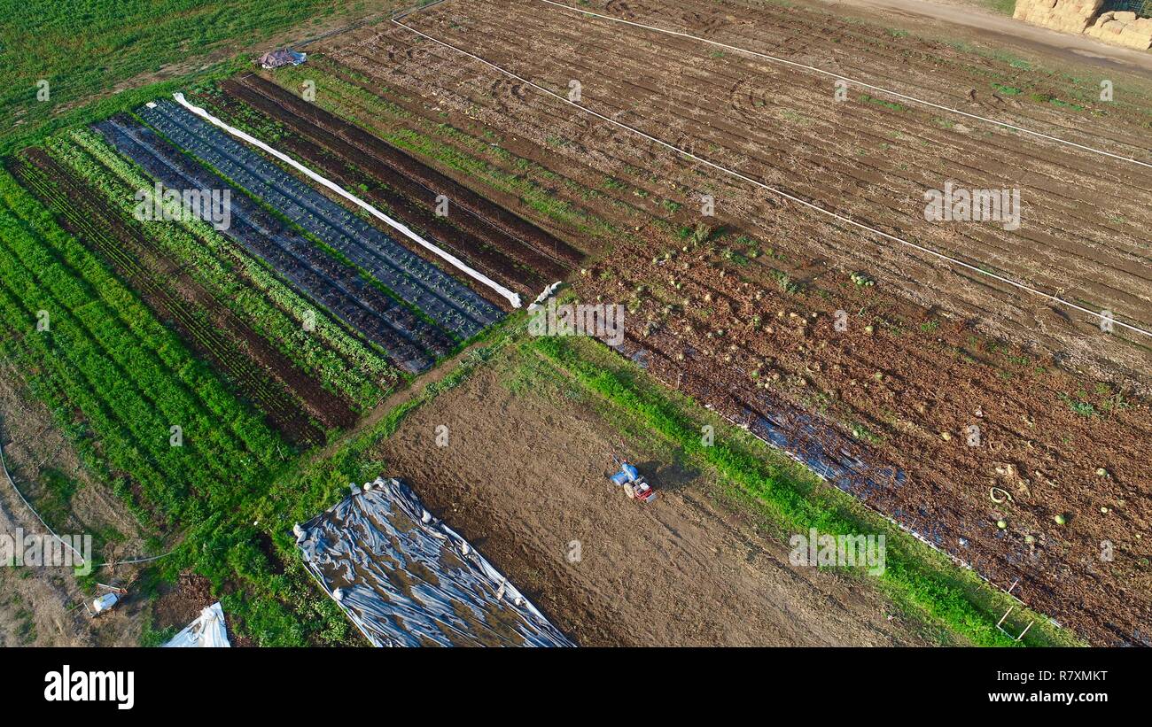 Aerial photo of rototiller in field of vegetables, fruits & flowers crops, in autumn at Front Porch Farm on 110 acres, Healdsburg, California, USA. Stock Photo