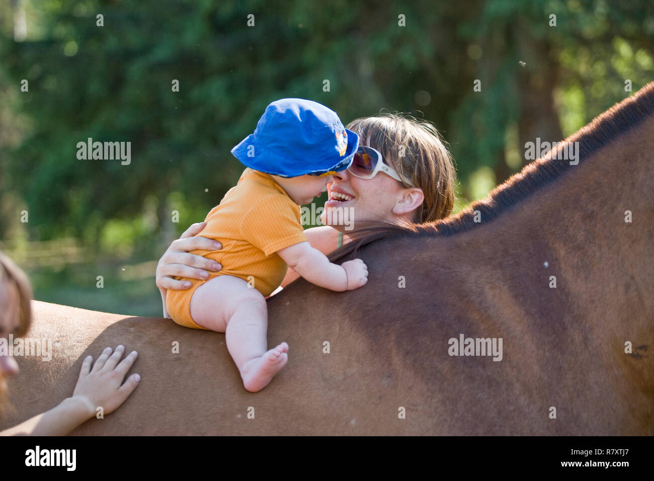Mother sitting baby on the back of a horse Stock Photo