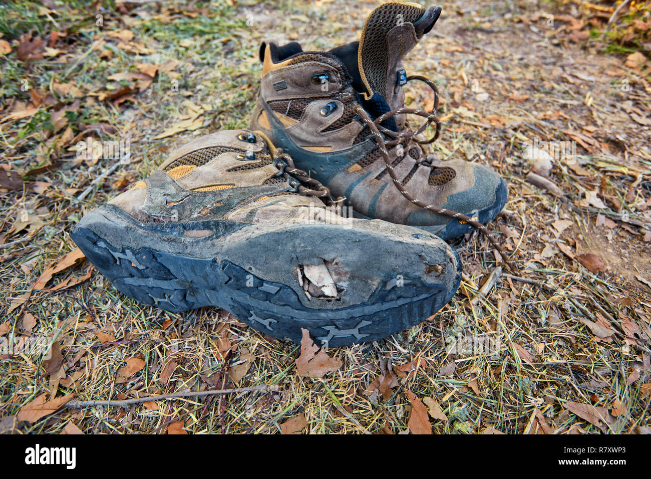 Pair of old, muddy hiking boots drying at the margin of a creek, to