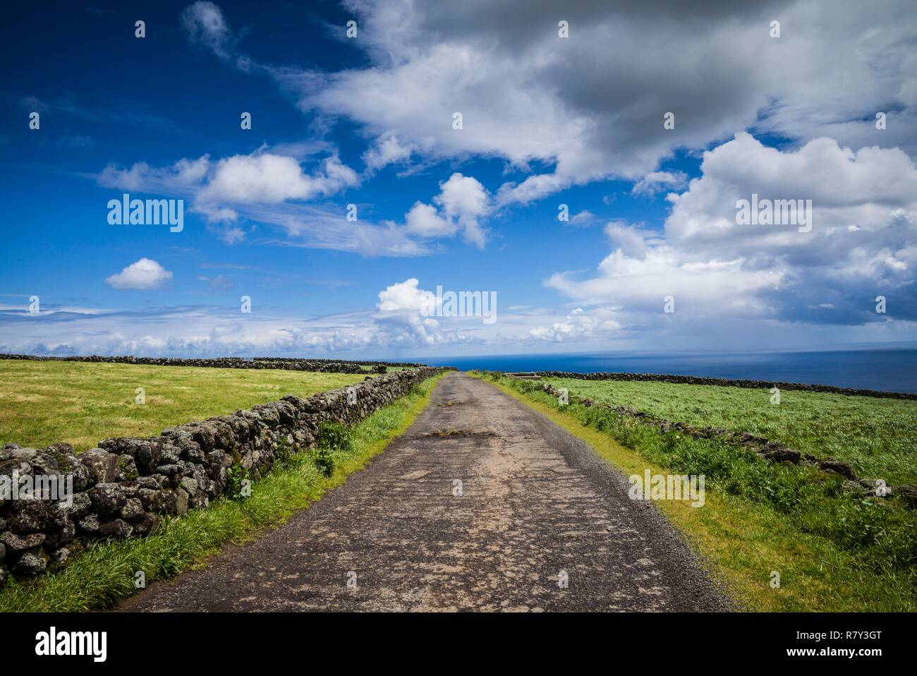 Portugal, Azores, Terceira Island, Serra do Cume, stone wall Stock Photo