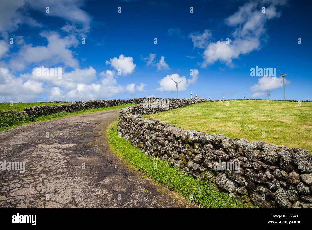 Portugal, Azores, Terceira Island, Serra do Cume, stone wall Stock Photo