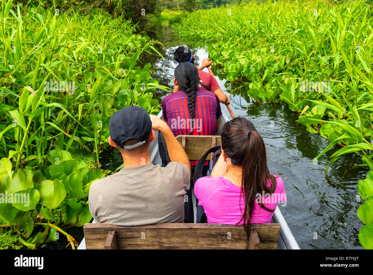 Tourists using traditional canoe transport during a bird watching tour inside the Yasuni National Park located in the Amazon River Basin, Ecuador. Stock Photo
