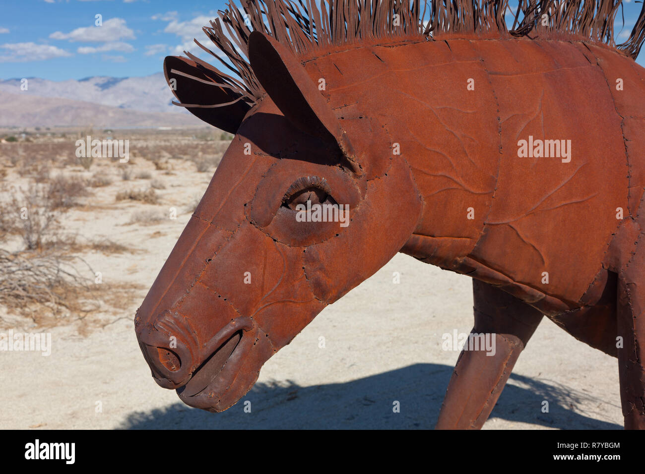 Metal horse sculptures by Ricardo Breceda in Galleta Meadows in Borrego Springs, CA Stock Photo