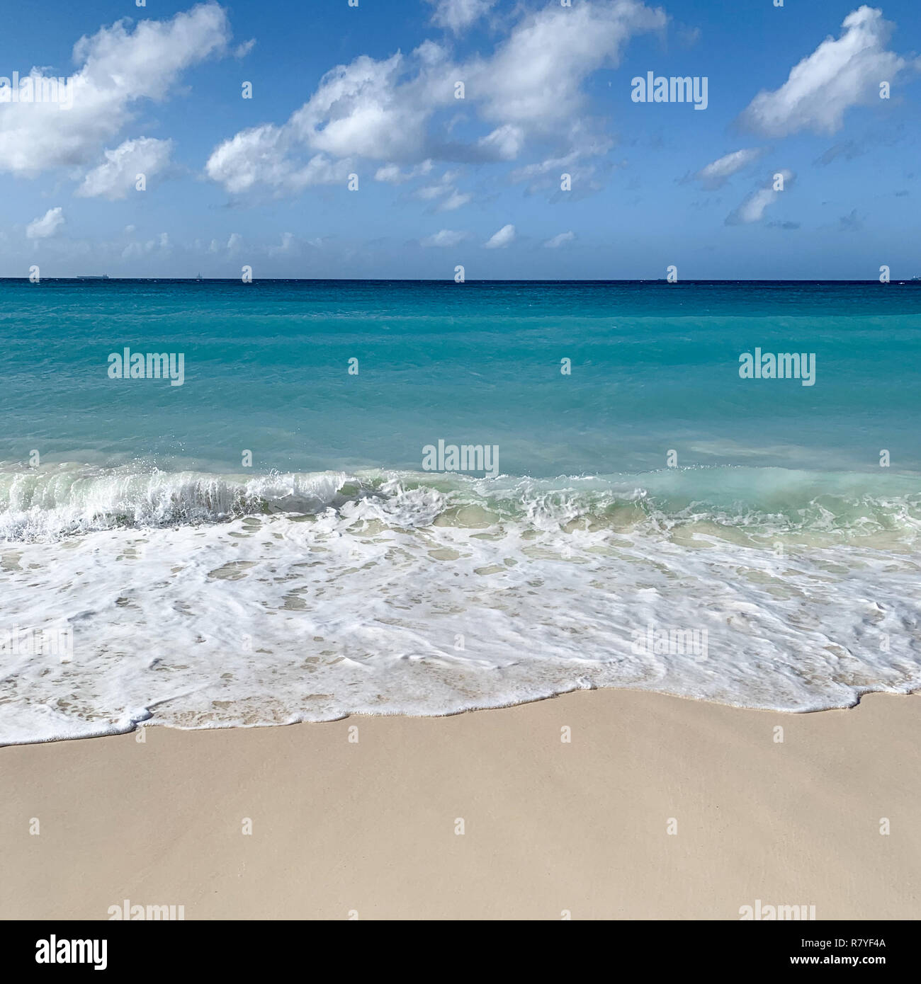 Aruba beach - tropical white sand beach with aquamarine water - Divi beach is a top Aruban vacation in the Caribbean - Dutch Island / Leeward Islands Stock Photo