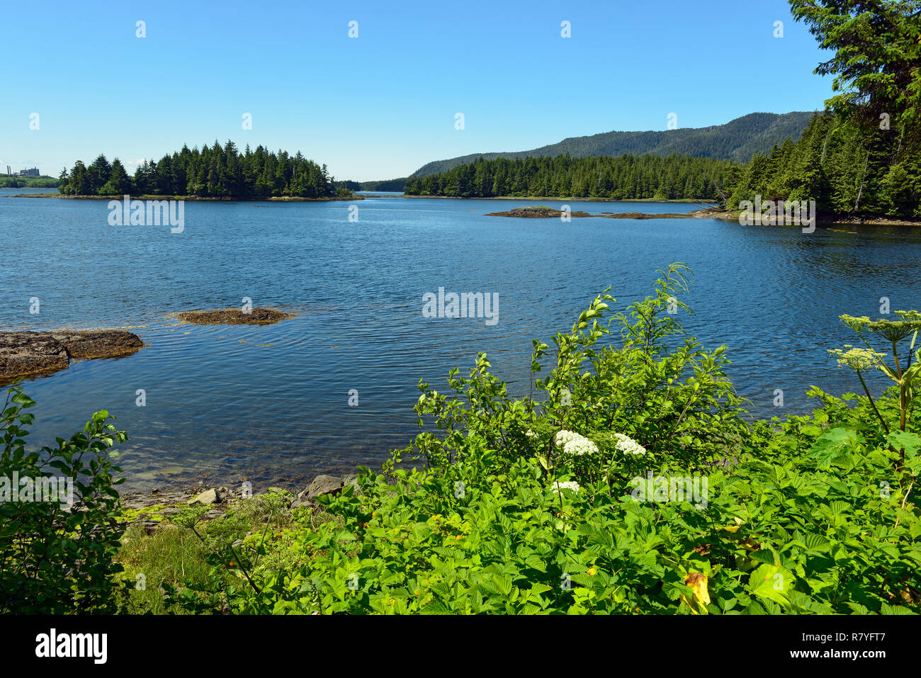 Lake near Port Edward, British Columbia, Canada Stock Photo Alamy