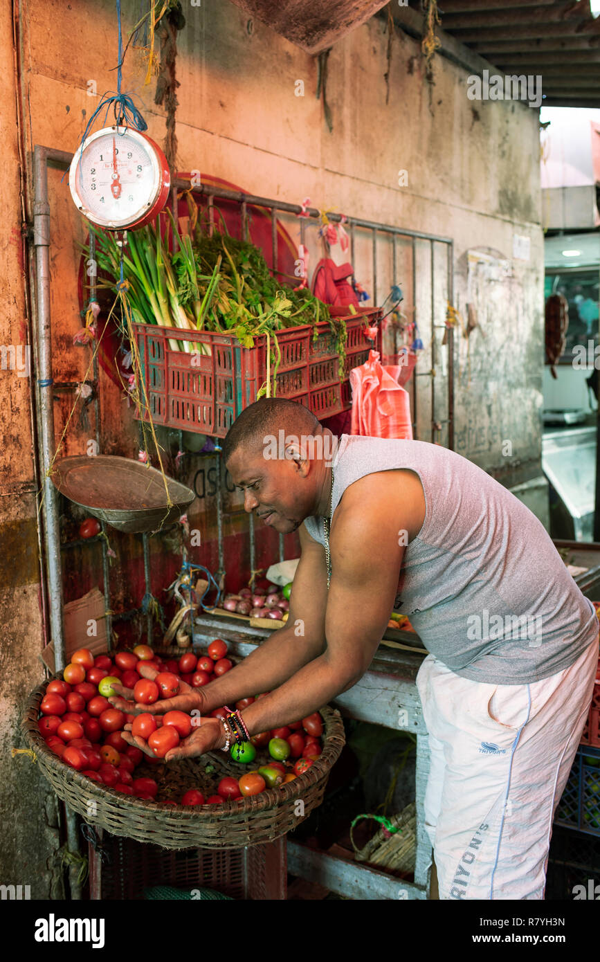 Latino salesman selecting tomatoes on Bazurto market (Mercado Bazurto). Environmental portrait. Cartagena de Indias, Colombia. Oct 2018 Stock Photo