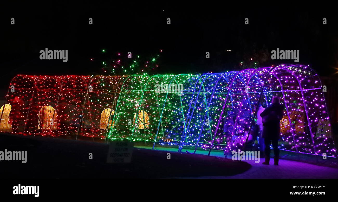 Christmas lights festival and celebration in Hudson Gardens, Littleton