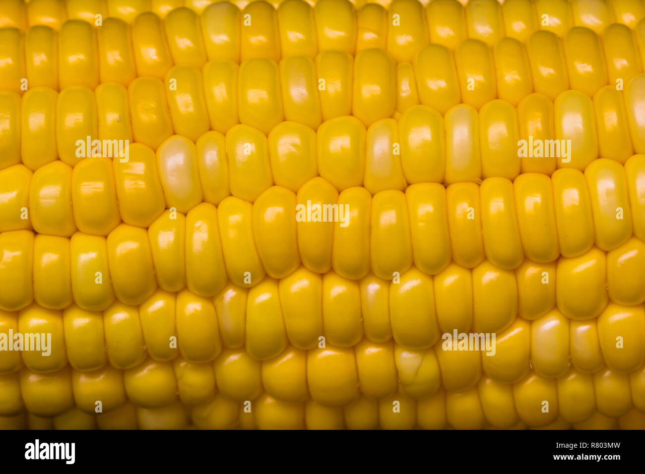 Close up raw sweet corn pattern texture background decoration. Stock Photo
