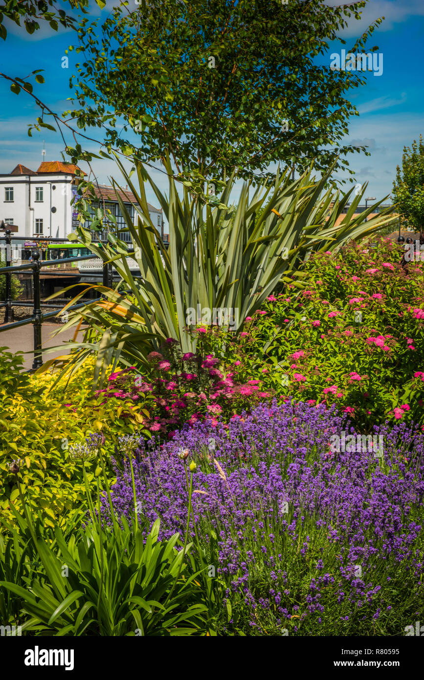 Taunton In Somerset, Summertime Stock Photo - Alamy