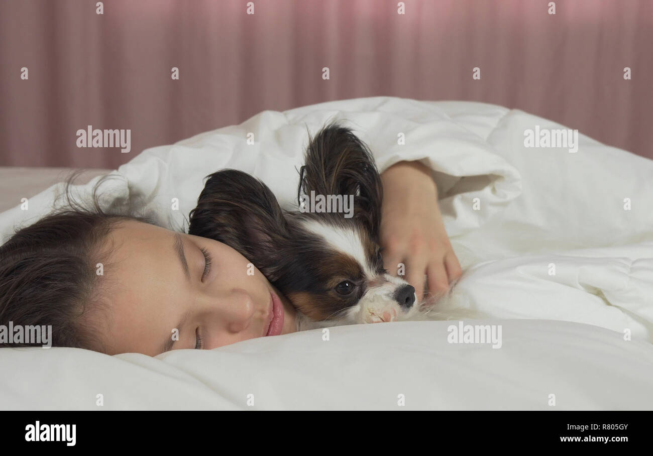 Beautiful teen girl sleeping sweetly in bed with Papillon dog Stock ...