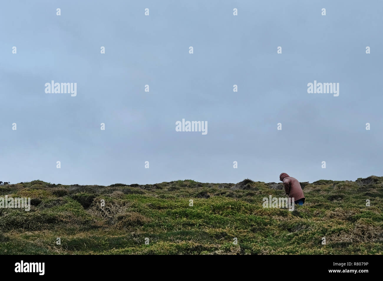 A small figure in the landscape of Cornwall, UK Stock Photo