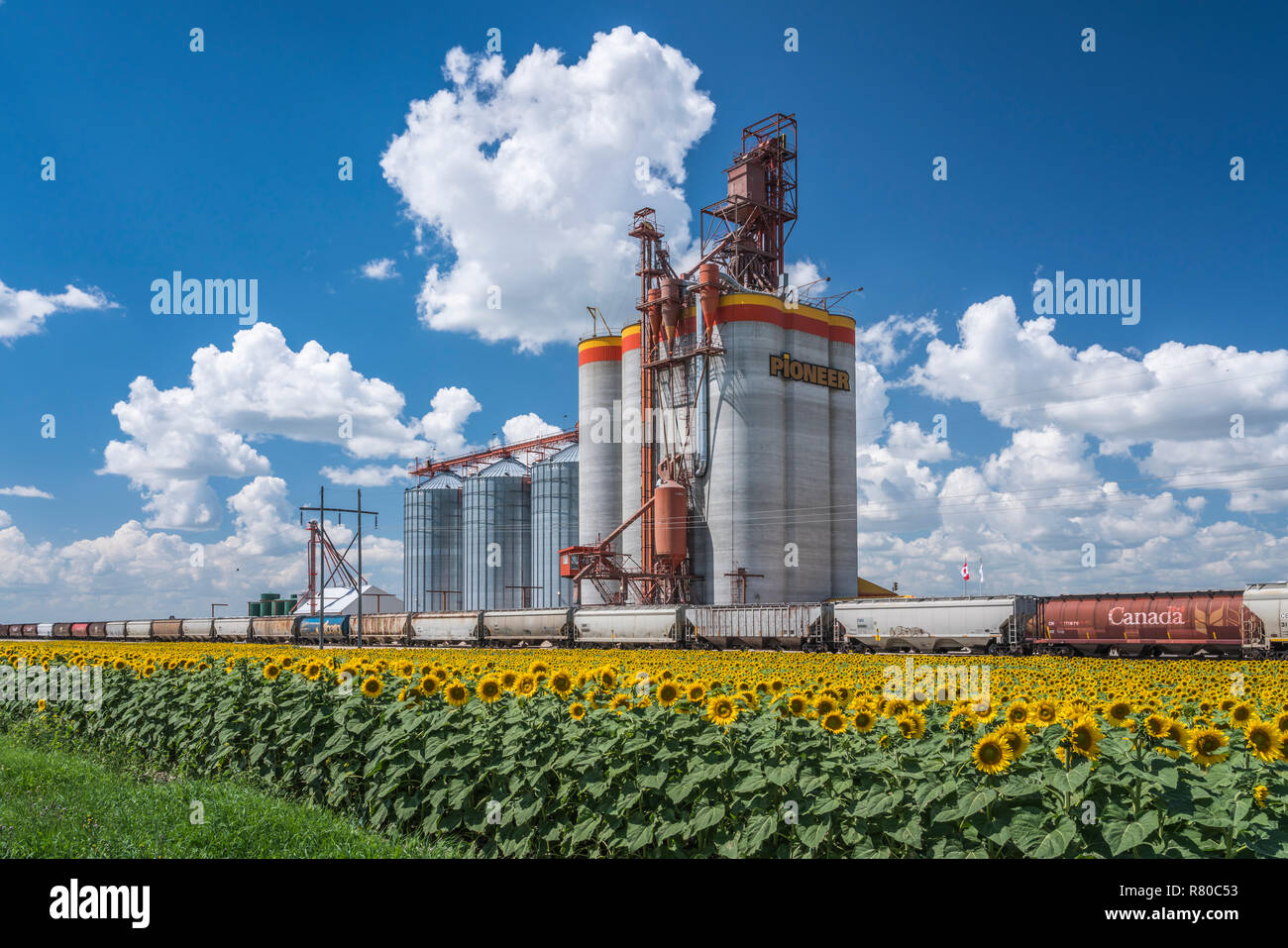 Brunkild manitoba hires stock photography and images Alamy