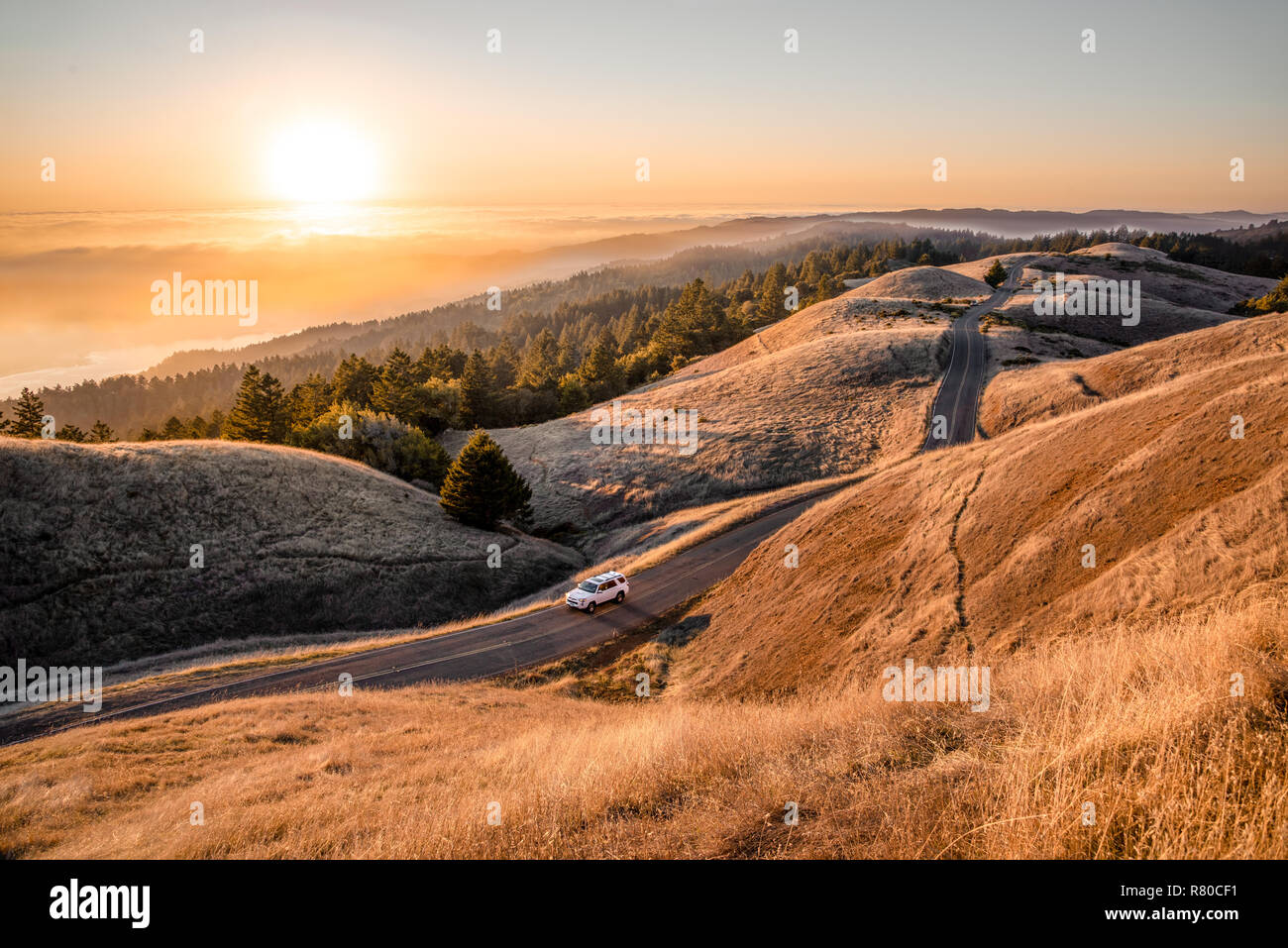 Golden California sunset in the hills of Mount Tamalpais State Park