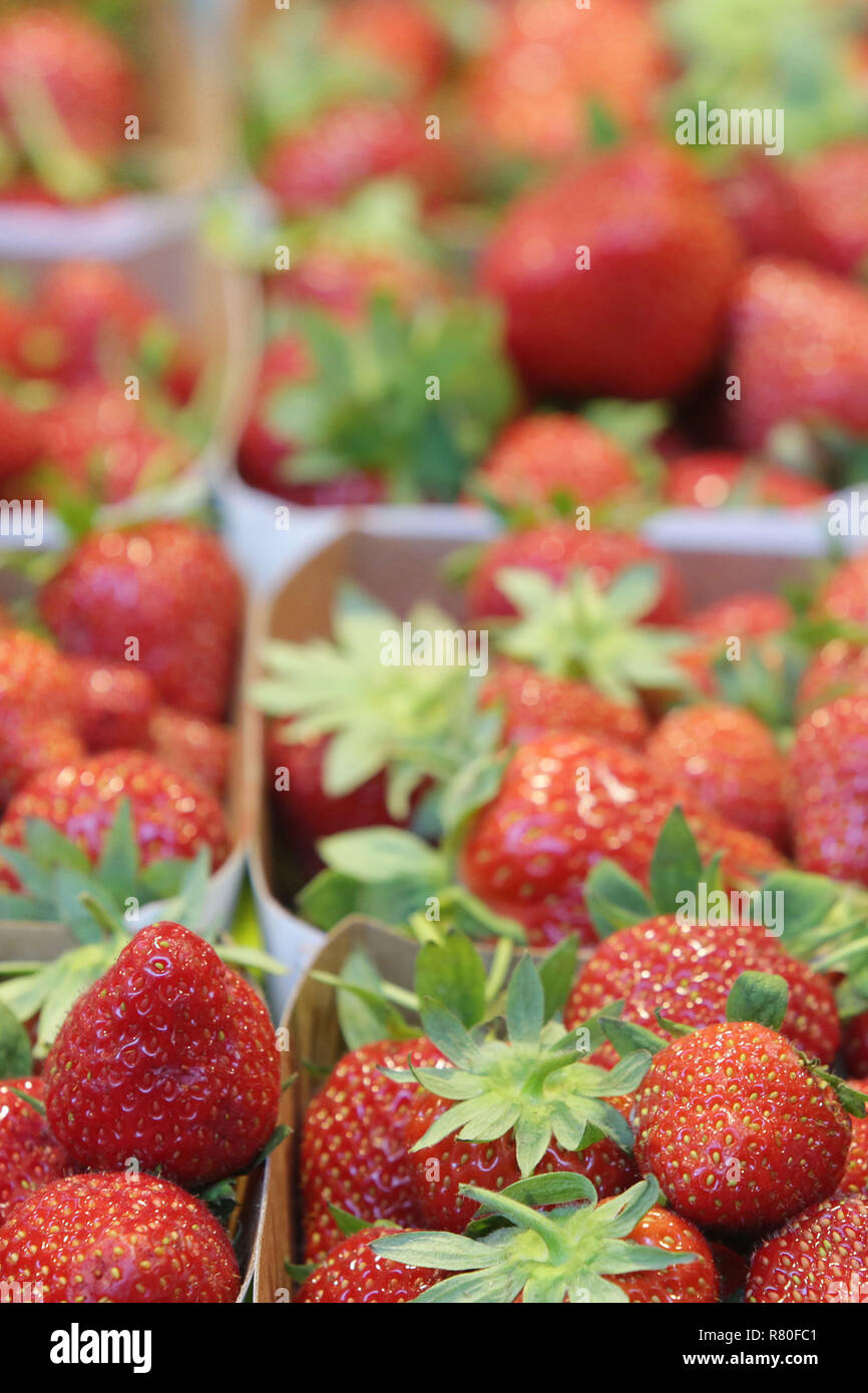Carton of strawberries Stock Photo Alamy