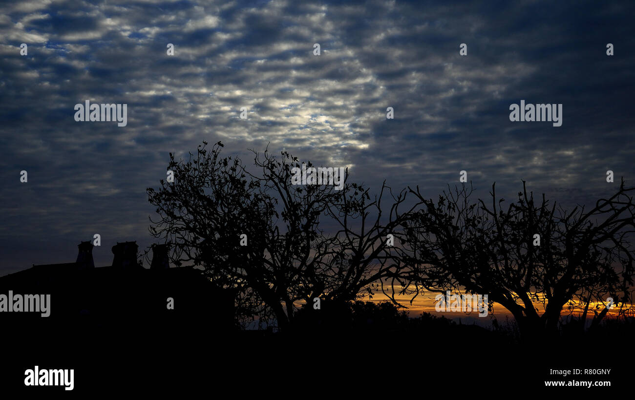 Dawn with covered sky, backlit trees, country house and sunlight through the clouds Stock Photo