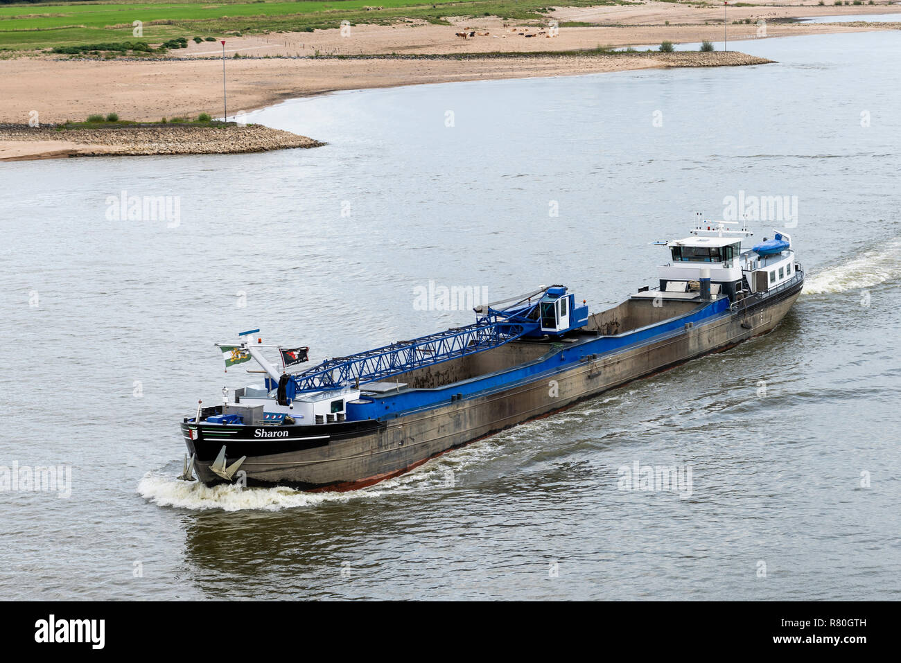 Beneden-Leeuwen, Netherlands - August 31, 2018: Barge on the river Waal near Beneden-Leeuwen, with flood plains, Netherlands. Stock Photo