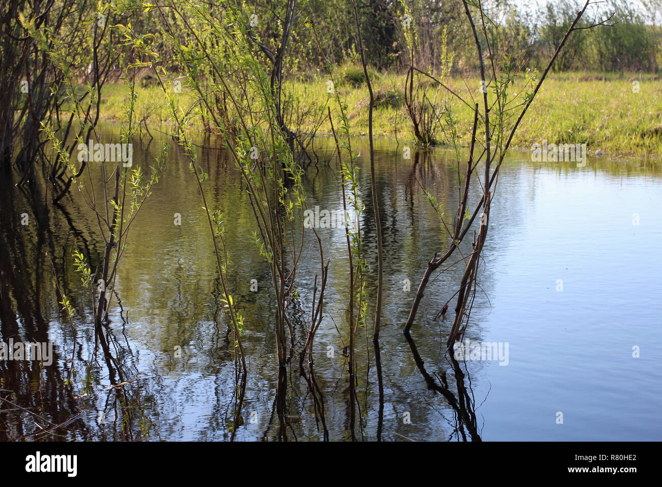 Crystal clear spring water hi-res stock photography and images - Alamy