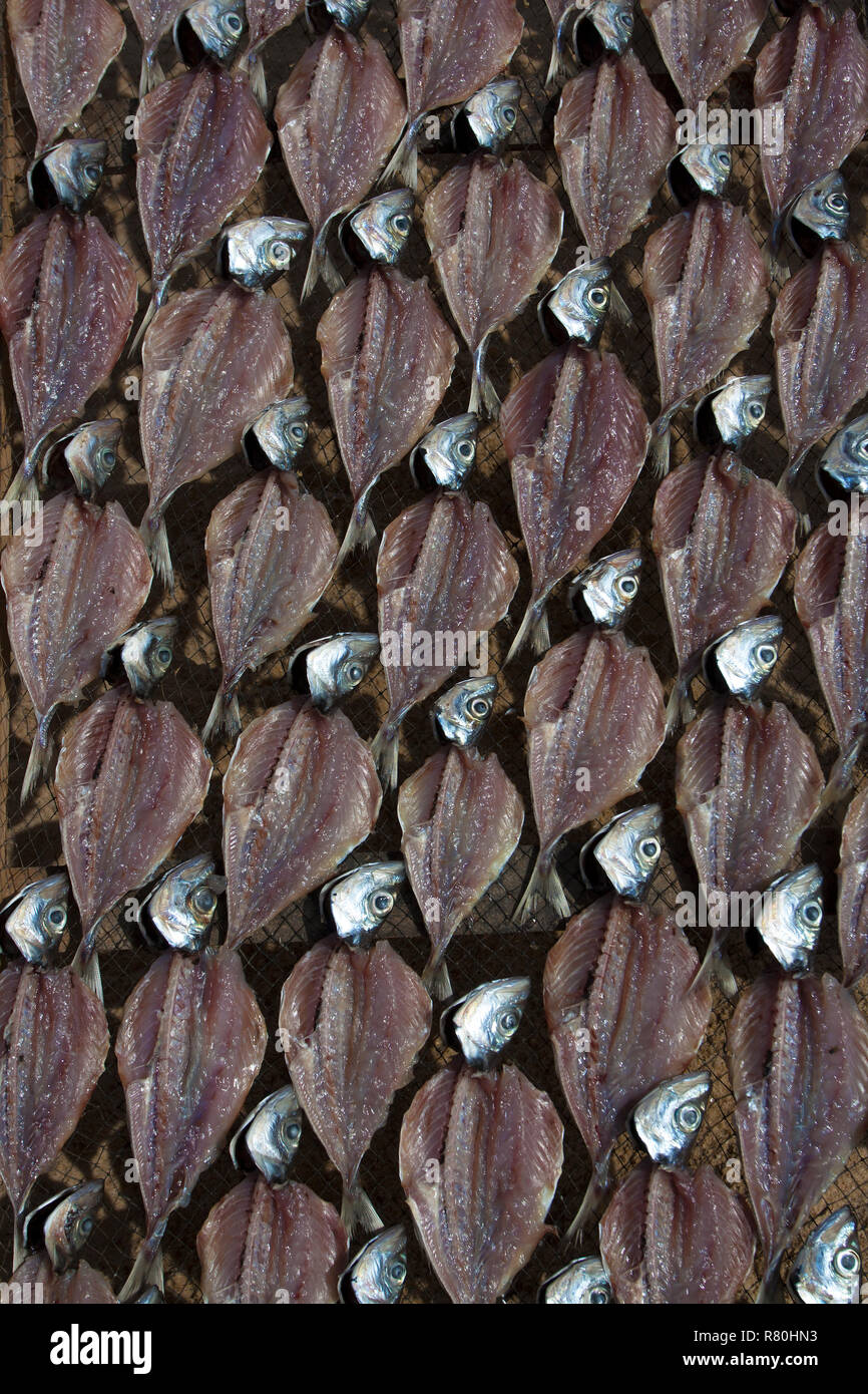 Nazare portugal food hires stock photography and images Alamy