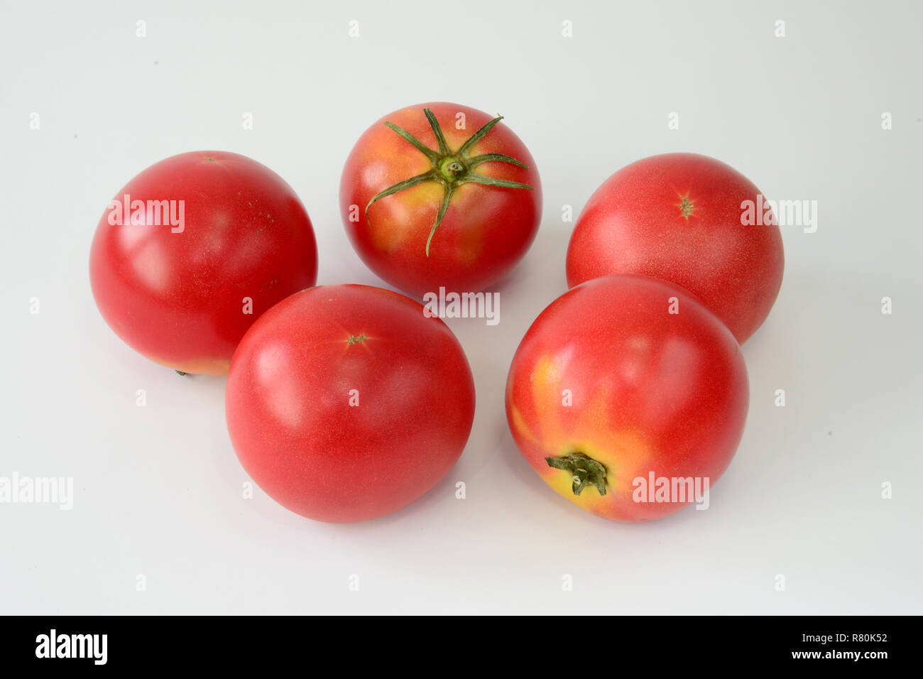 Tomato (Solanum lycopersicumm), variety: Berner Rose, Bernese Rose. Five ripe fruit. Studio picture against a white background Stock Photo
