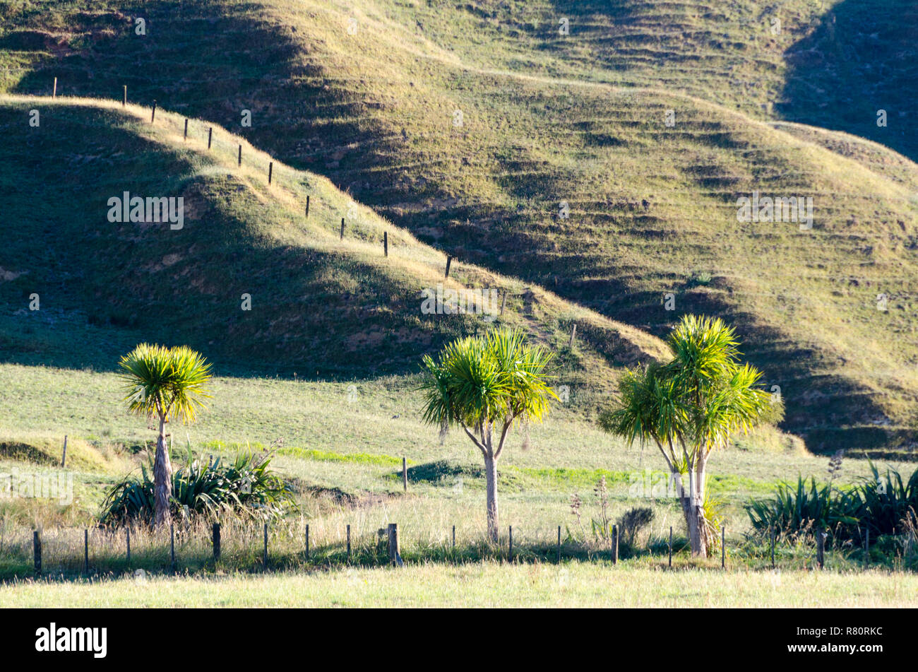 Hills and farmland, Marokopa, Waikato, North Island, New Zealand Stock Photo