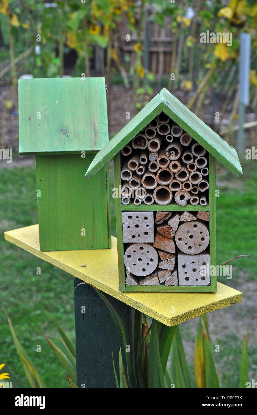 Two green beehive boxes Stock Photo