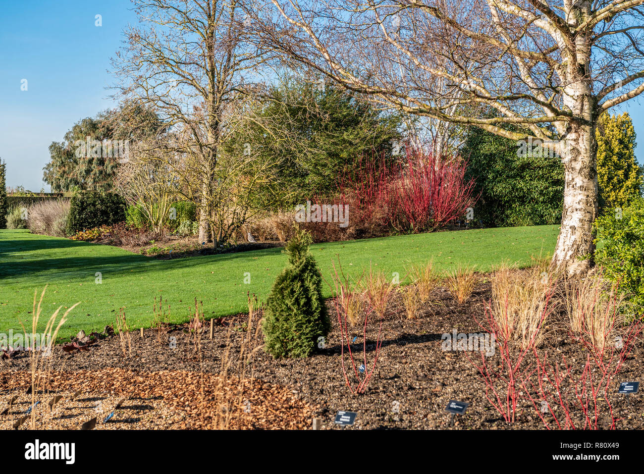 Part of RHS garden at Hyde Hall in the winter, with some new planting in the foreground. Stock Photo