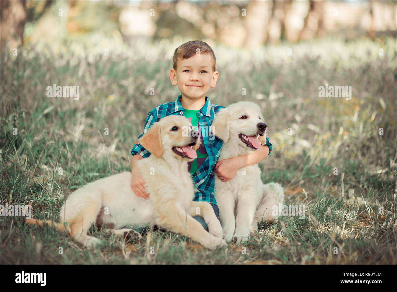 Boy Playing Pet Puppy Labrador Stock Photos Boy Playing Pet