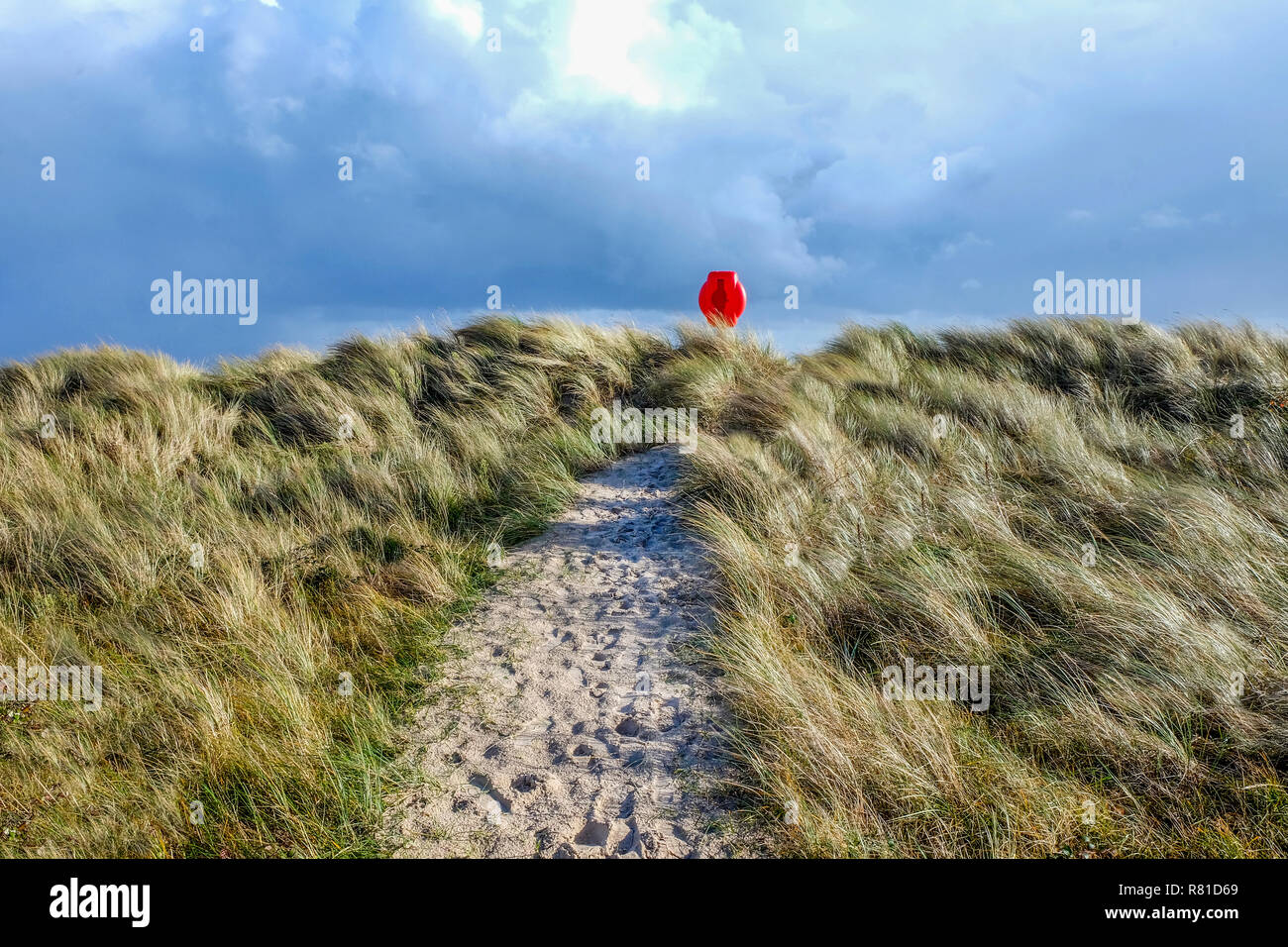 In the centre a sandy pathway with lots of footprints runs through long yellow windswept grass covered sand dunes at the end of the path is a bright r Stock Photo