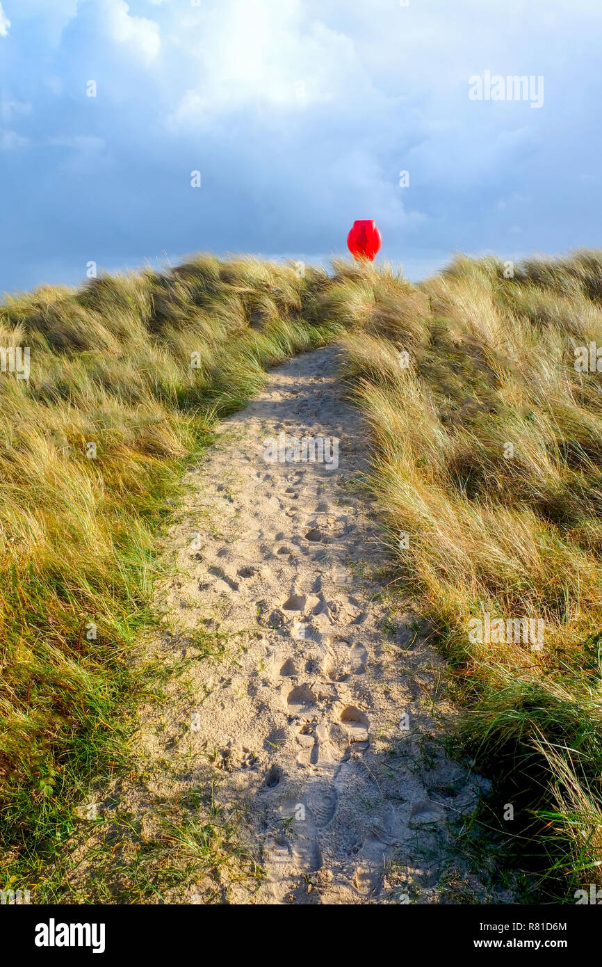 In the centre a sandy pathway with lots of footprints runs through long ...