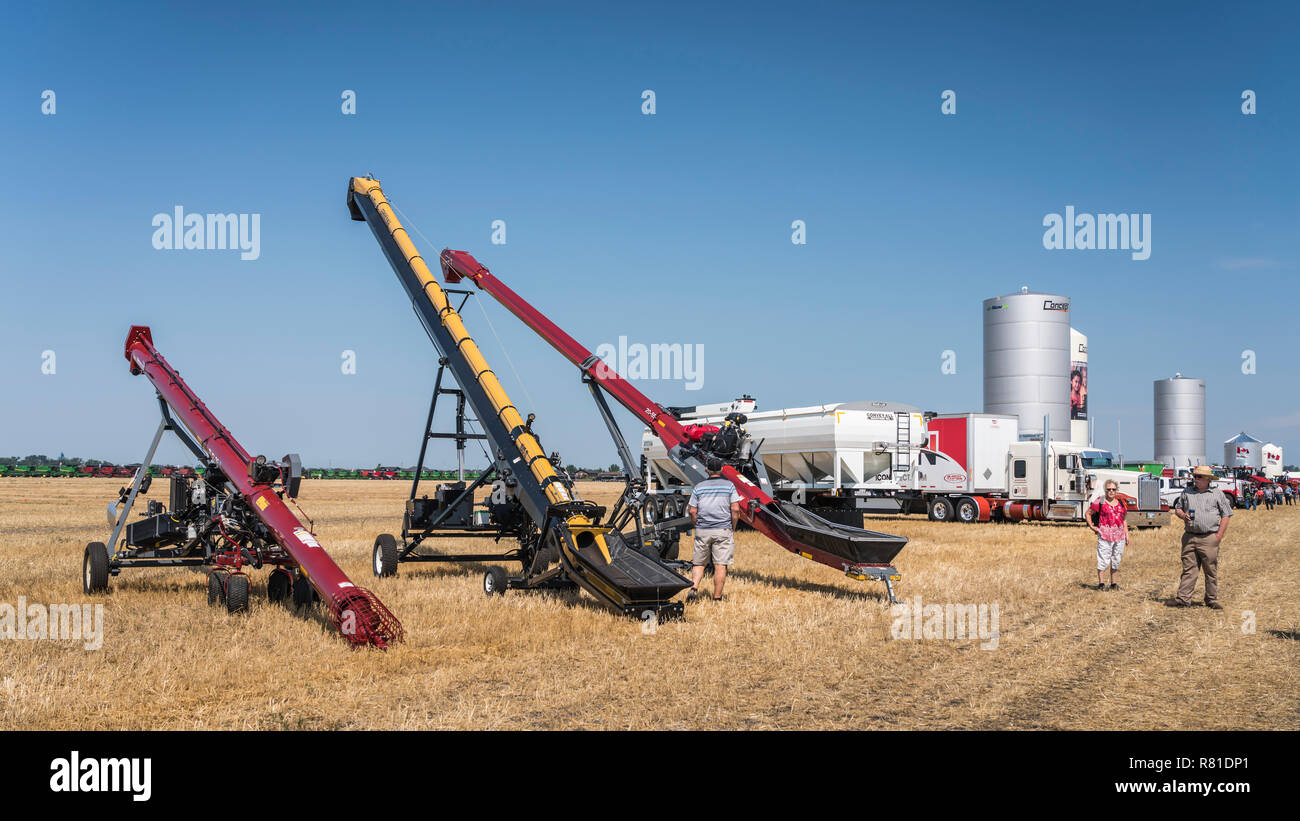 Farm implements on a field of wheat in a Harvest for Kids, Stock Photo