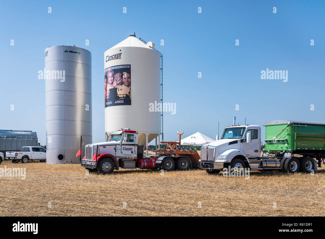 Harvest for Kids Meridean grain bins and combine near Winkler, Manitoba, Canada. Stock Photo