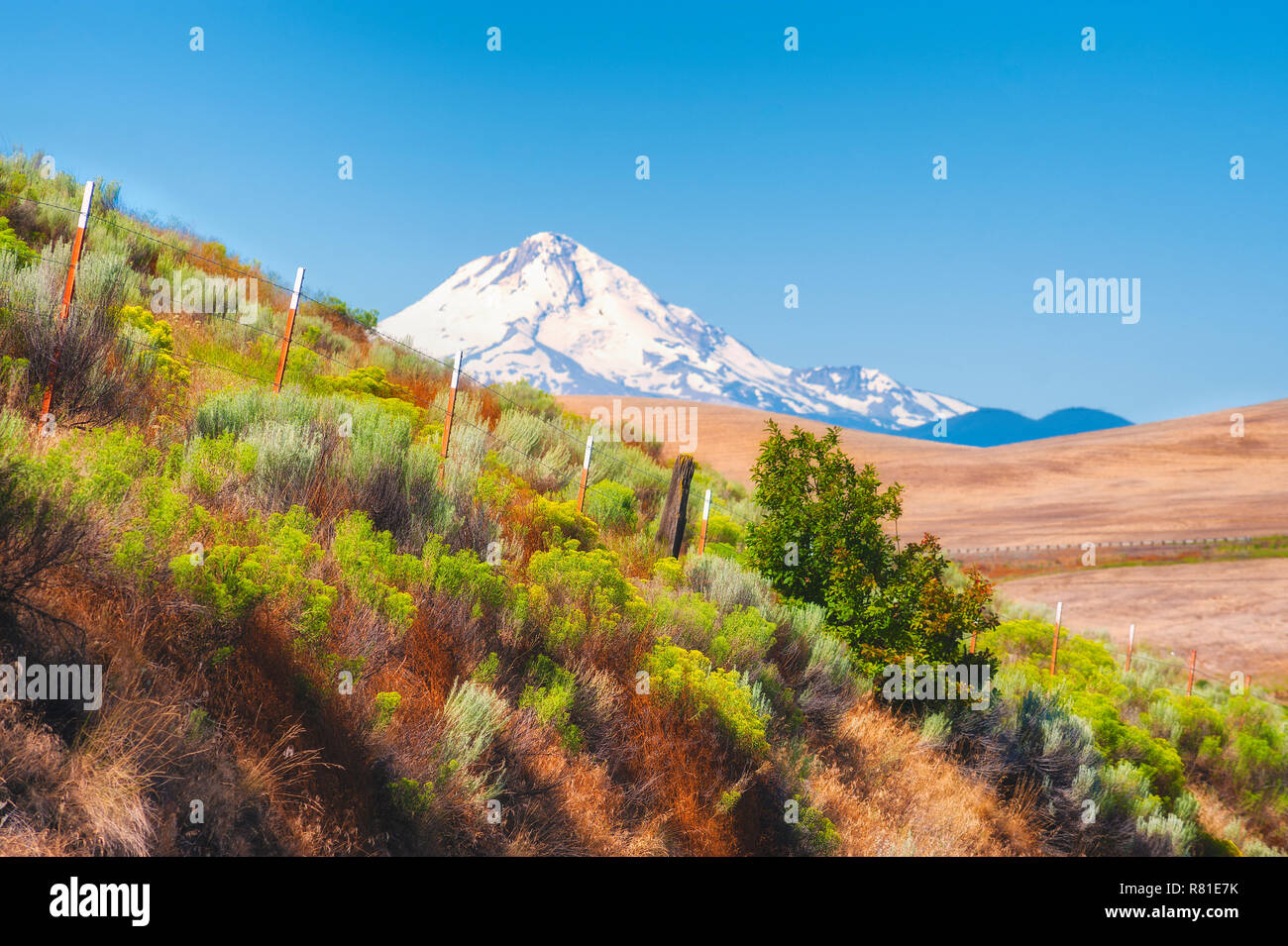 Dufur hires stock photography and images Alamy