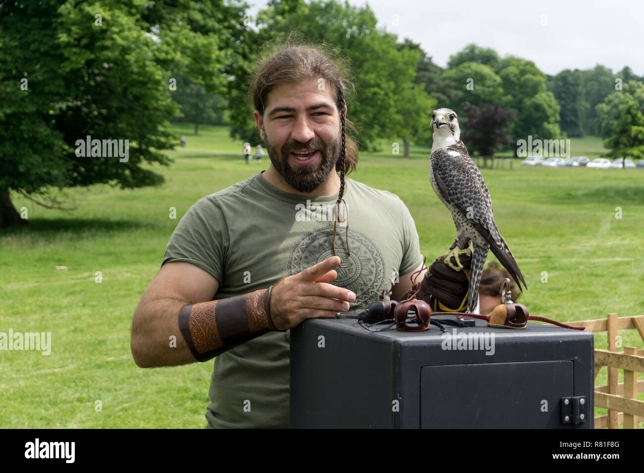 Male falconer with hawk giving a demonstration at a village fete, Courteenhall, Northamptonshire, UK Stock Photo