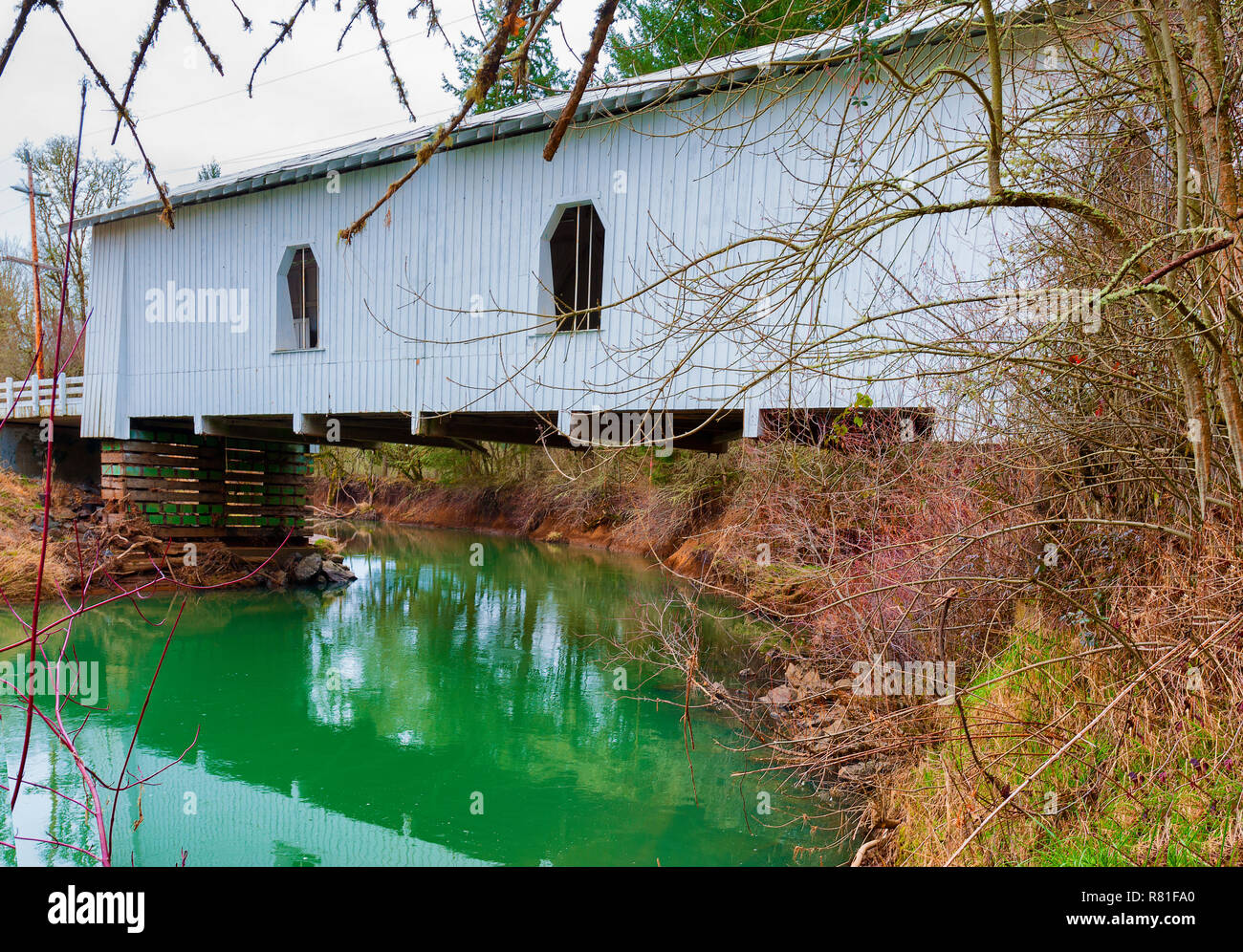 Scio, Oregon, USA February 26, 2011 Fall colors add a nice contrast