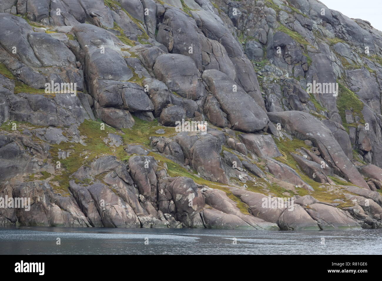 Grönland Christian Sund: Die Felsen sind bedrohlich nahe. Stock Photo