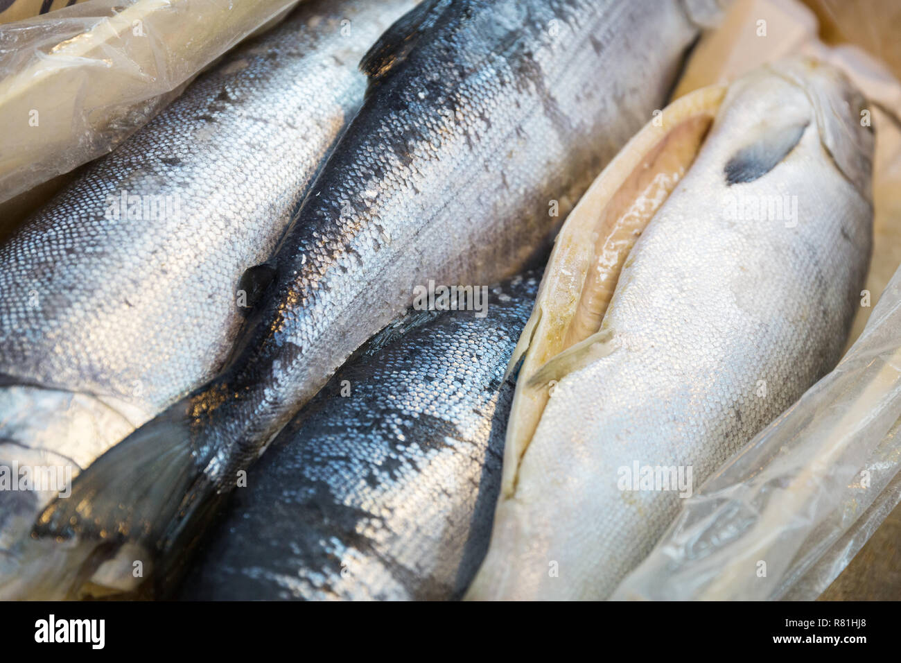 fresh fish or seafood at asian street market Stock Photo Alamy