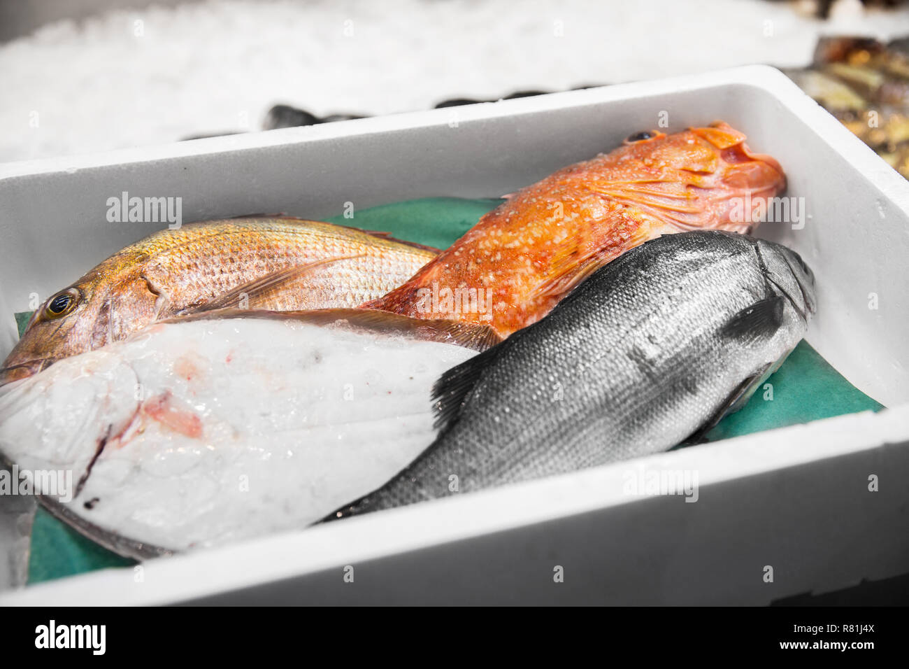 fresh fish or seafood at japanese street market Stock Photo Alamy