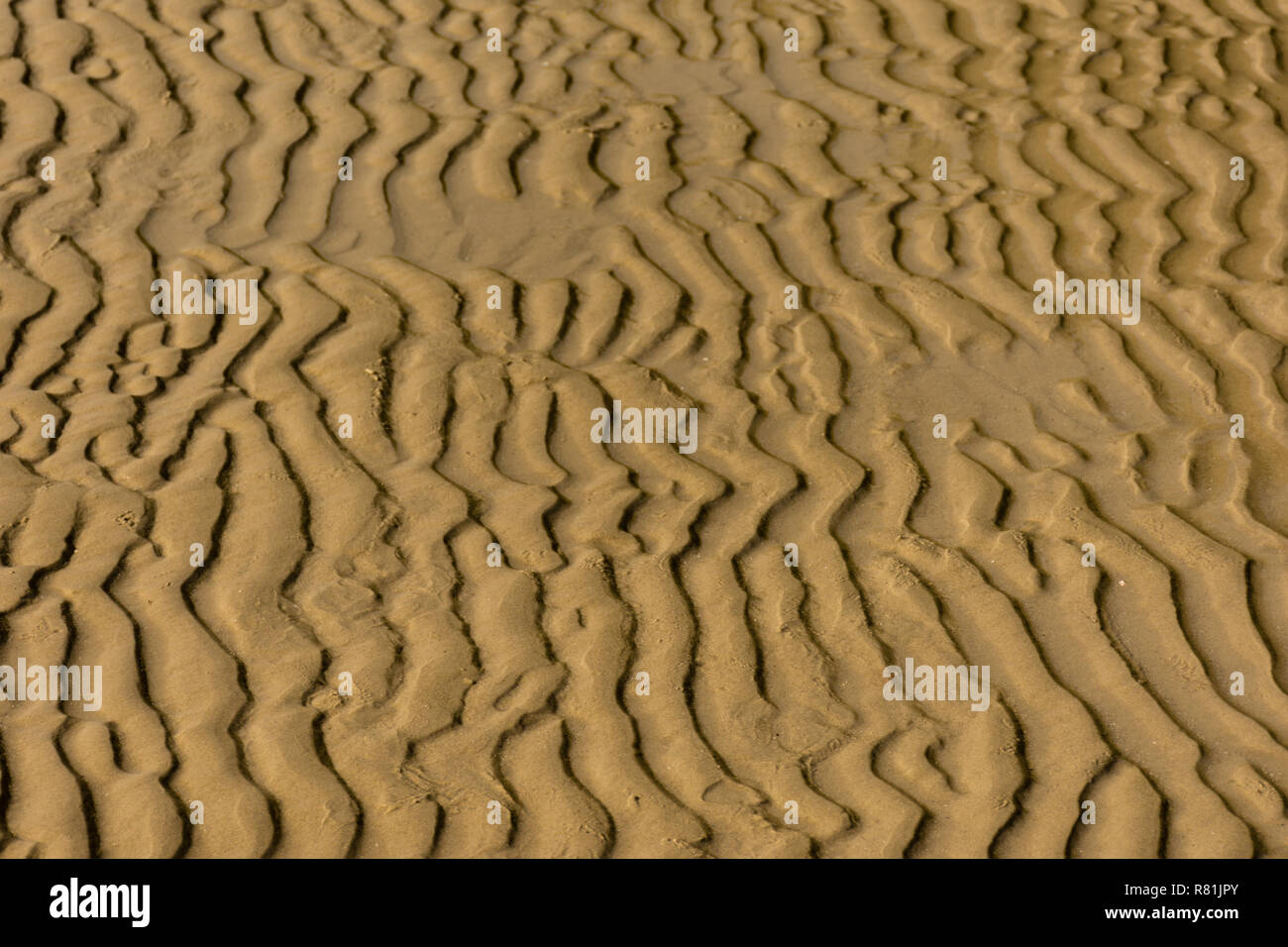 Ripples and patterns left in a wet sandy beach by the retreating tide. Stock Photo
