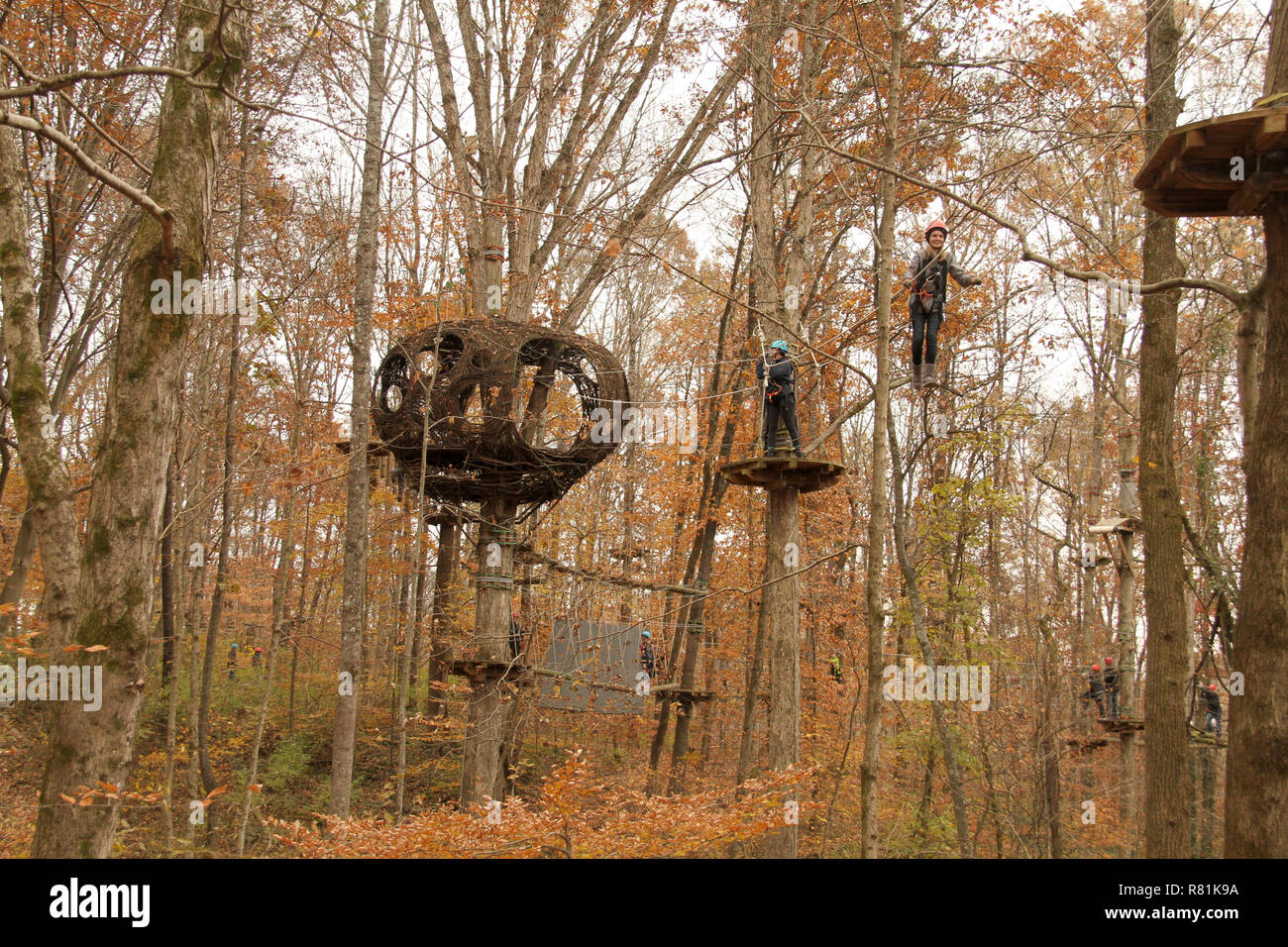 Navitat Knoxville, a tree-based zipline adventure park in Ijams Nature Center in Knoxville, Tennessee, USA Stock Photo