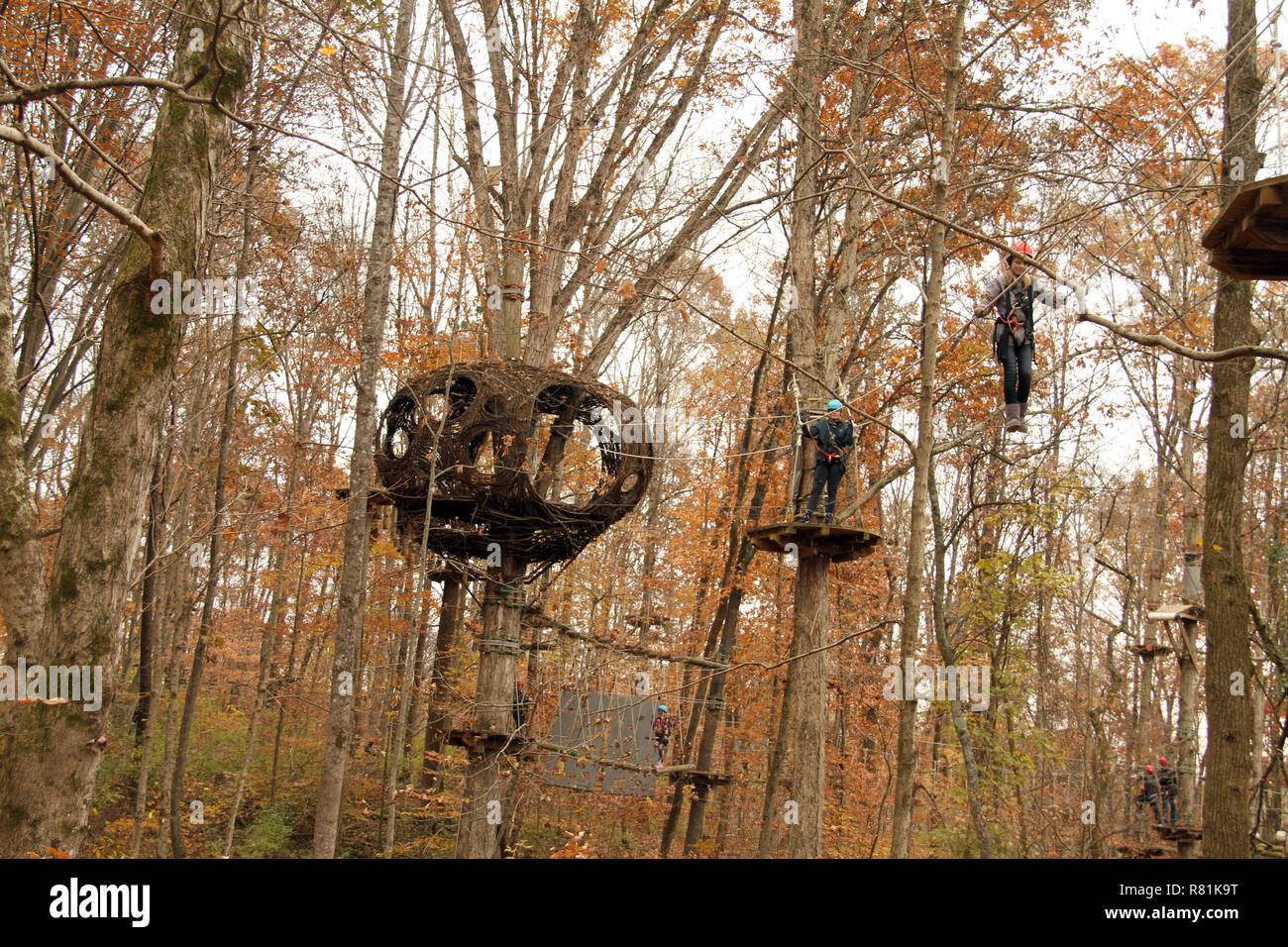 Navitat Knoxville, a tree-based zipline adventure park in Ijams Nature Center in Knoxville, Tennessee Stock Photo