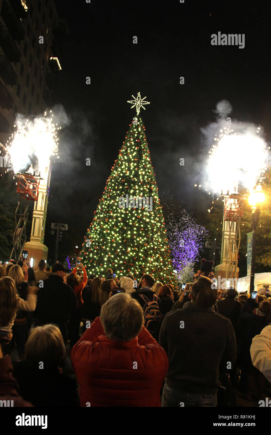 The lighting of the Christmas tree in downtown Knoxville, TN Stock